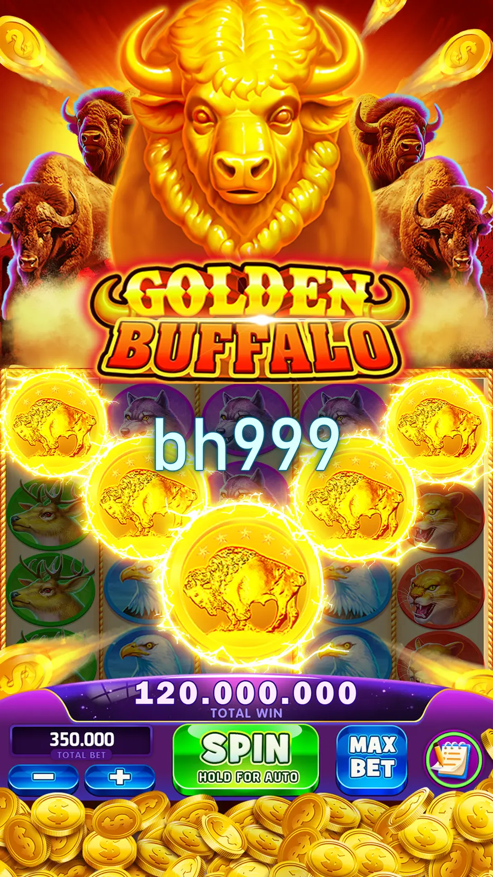 bh999 ডাউনলোড