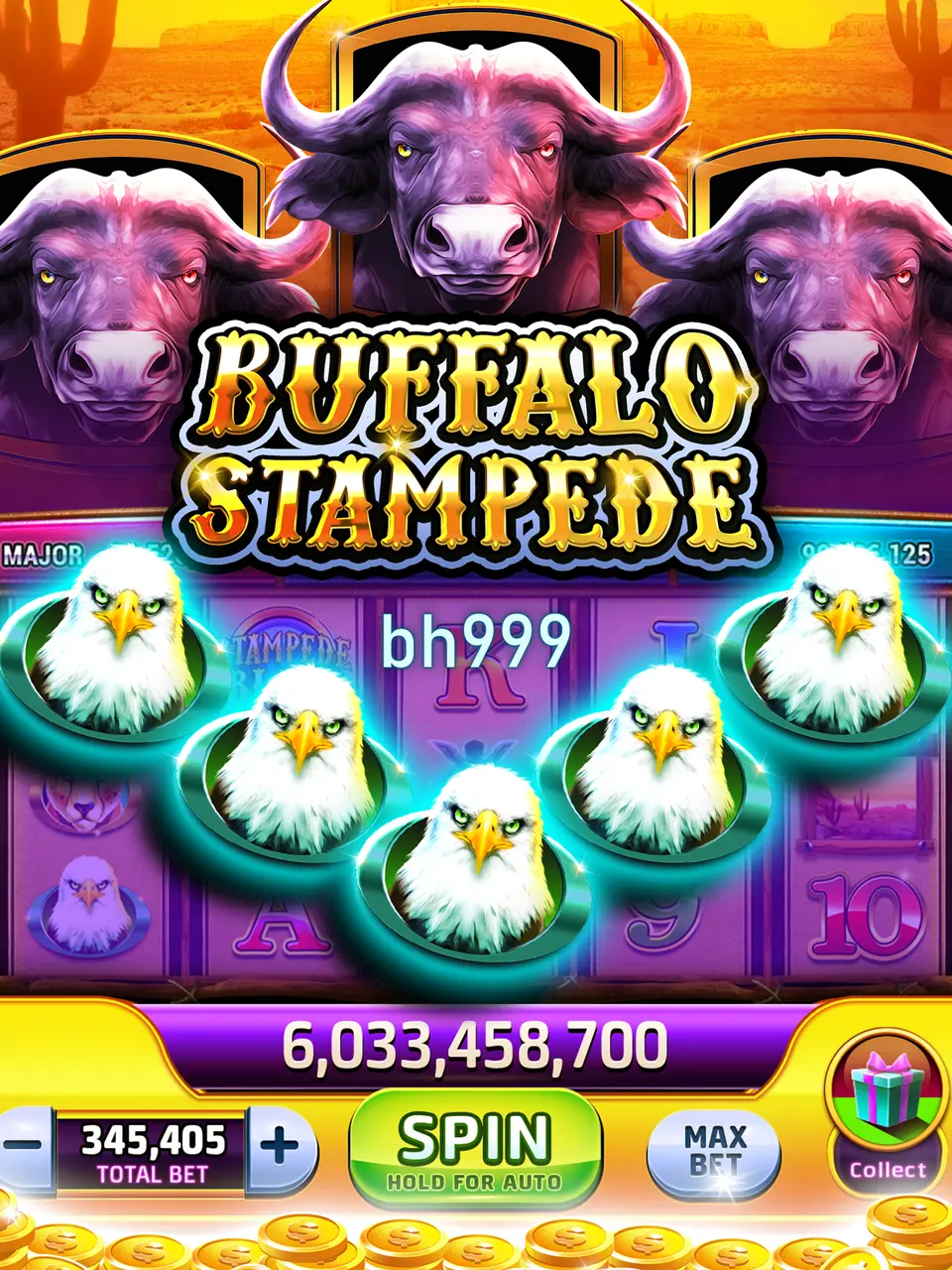 bh999 লগইন